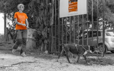 Open day – un giorno di festa