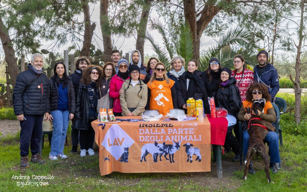 Porta a spasso un amico
