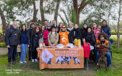 Porta a spasso un amico