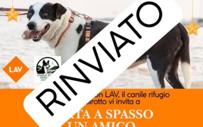 Porta a spasso un amico – Natale 2025