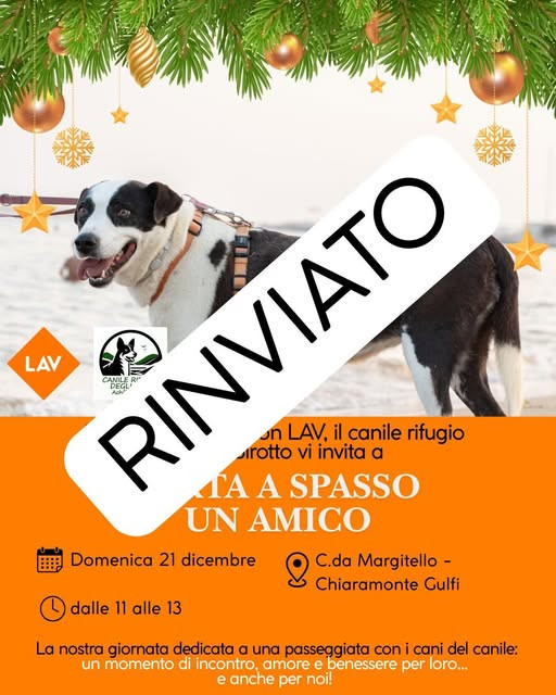 Porta a spasso un amico – Natale 2025