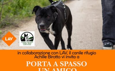 Porta a spasso un amico…bis!