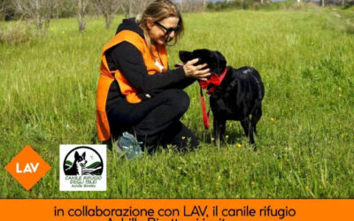 Porta a spasso un amico – Spring edition!