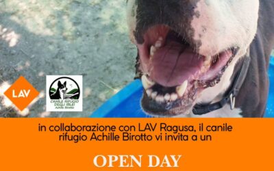 Open day – 24 Giugno