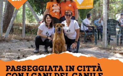 Passeggiata ad Ibla con LAV ed i cani del nostro canile